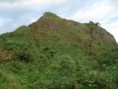 /album/fotogaleria/coyona-2-jpg/